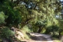 Virtually unused country lane at the back of the property